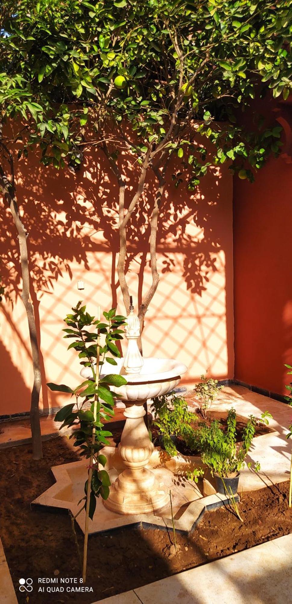 Maison D'Hotes Le Petit Jardin Marrakech Marrakesh Extérieur photo